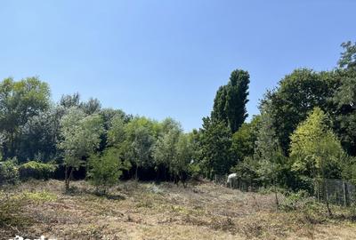 Teren de 2500 mp, în Gruiu - 7