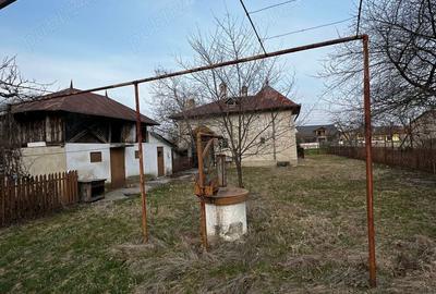 Casă cu 3 camere cu Teren 4000 Mp în Ulmi - 2