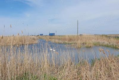 Casă cu 5 camere cu Teren 1500 Mp în Spiru Haret - 8