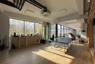 Spatiu comercial 562mp, Tatarasi - Doi Baieti - 2