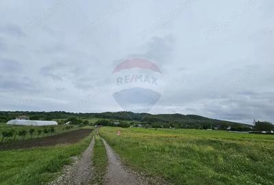 Teren de 1495 mp, în Dobreni - 18