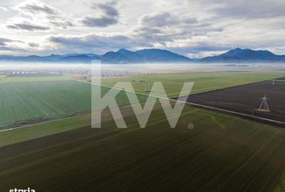 Spațiu comercial, în Hărmanului - 7