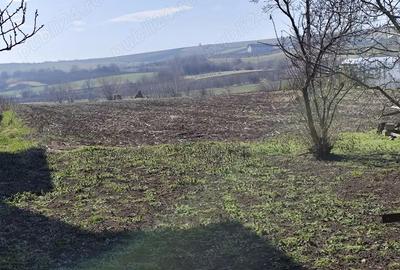 Casă cu 3 camere în Siret - 2