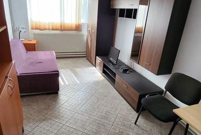 Spatiu industrial productie/ depozitare, Timiș - 30