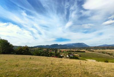 5800 mp fineata, pretabil camping, constructii A-frame, Sohodol, Bran - 1