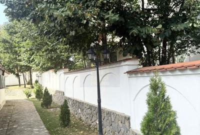 Casă cu 4 camere cu Teren 962 Mp în Snagov - 2