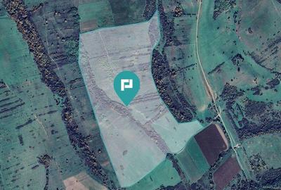 Teren arabil de 87 hectare in Bara, Timi? - 11