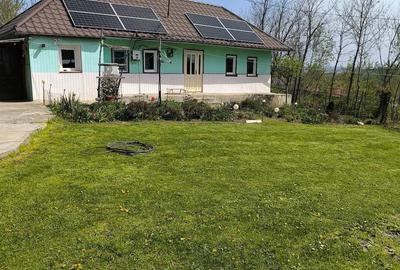 Casă cu 3 camere cu Teren 4700 Mp în Bohoghina - 9