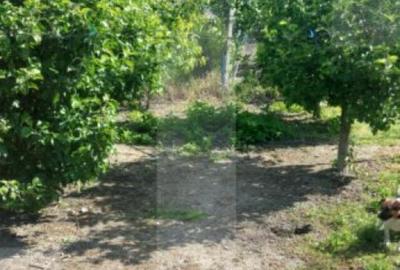 Blitz va ofera spre vanzare casa in Covasan? - 10