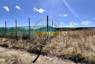 Spațiu comercial, în Corbeanca - 6