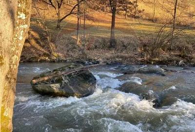 Casa / Vila cu 5 camere de vanzare - 12