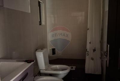 Casa cu teren generos – refugiul perfect în Paltinoasa, Suceava - 14