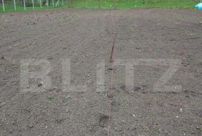 Teren intravilan de vanzare in Calarasi langa Turda! - 5