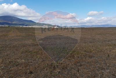 Teren 3.12 ha, intrare Codlea langa paraul Barsa - 3