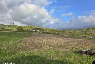 Teren de 15000 mp, în Măldărești