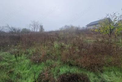 Casă cu 4 camere cu Canalizare în Mineri - 2