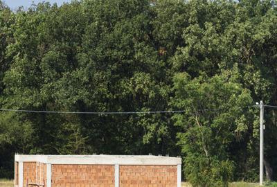 Casa Gradistea Langa Padure, Parter din Caramida Phoroterm Cu teren 500 Mp - 10