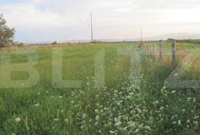 Teren intravilan 6000 mp cu 2 fronturi, parcelabil