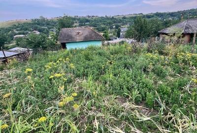 Teren de 855 mp, în Perieni - 5