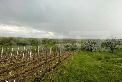 Teren de 4447 mp, în Pielești - 4