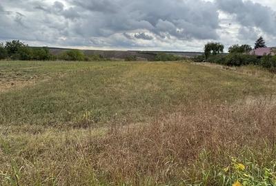 Teren în Pantelimon - 2