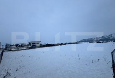 Teren intravilan 6700 mp Nod rutier A1A10, Lancram | - 7