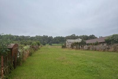 Spațiu comercial, în Unirea - 1