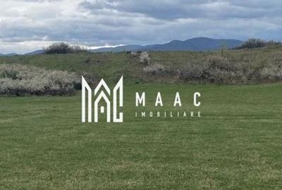 Teren extravilan | Cristian | 11.500 mp - 1