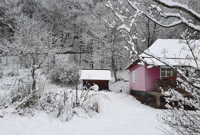 Casă cu 2 camere cu Teren 4721 Mp în Lunca Vișagului - 2