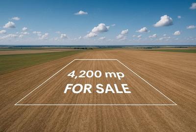 Teren de 4200 mp, în Daia Română