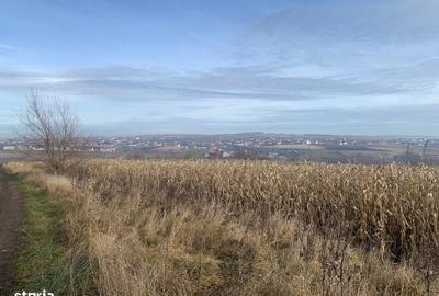 Teren de 7800 mp, în Vicovu de Sus - 8