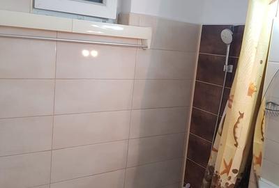 Apartament cu 2 camere semidecomandat în Colentina - 15