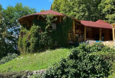 Casă cu 7 camere cu Teren 17000 Mp în Cărbunari - 12