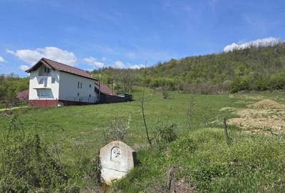 Spațiu comercial, în Conțești - 4