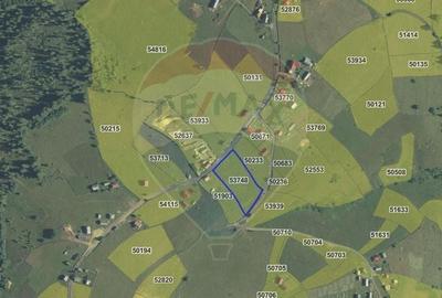 Teren agricol extravilan de 4914 mp, în Giurcuța de Sus - 5