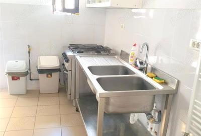 Casă cu 6 camere în Badea Cârțan - 11