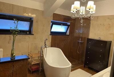 VILA 400 mp Ghe. Grigore Cantacuzino - 1