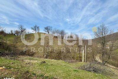 Teren de 6476 mp, în Tăuții-Măgherăuș - 1