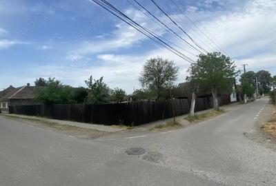 Casă cu 2 camere cu Teren 1339 Mp în Zimandu Nou - 4