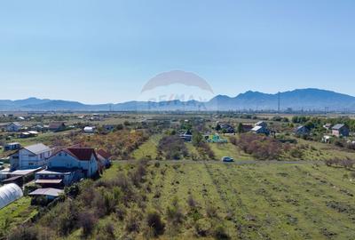 Teren Sanpetru -livada, Strada Nucului, 1296mp, apa, gaz, curent - 10