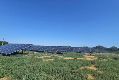 Proprietate agroindustriala, hala 1590 mp, teren 28000 mp, p - 1