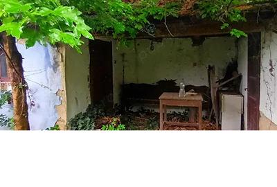 Casă cu 2 camere cu Teren 2200 Mp în Vadu Crișului - 5