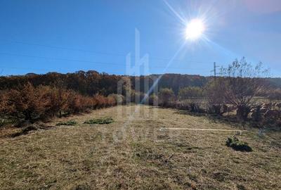 Teren extravilan in Tropinii Noi (Rasinari)-2592 mp - 2