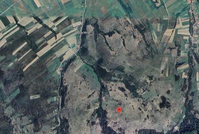 Teren de 3700 mp, în Dalboșeț - 2