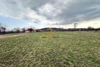 Teren Construcții intravilan de 11021 mp, în Blăgești - 7