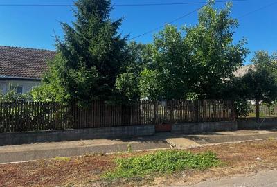 Spatiu pentru dispensar medical-veterinar si locuinta de serviciu cu teren mare - 4
