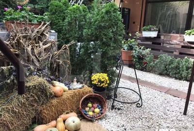 Casă cu 24 camere cu Teren 1380 Mp în Mehala - 17