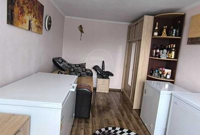 Casă de vânzare, 3 camere, 2 băi, 108 mp Dâmbu Rotund Maramureșului - 3