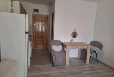Garsonieră în Alexandru cel Bun