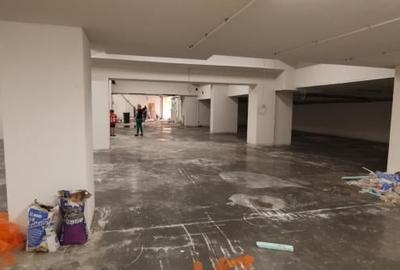 Herastrau Nordului Ap 4 cam lux 260mp Herastrau Nordului Ap 4 cam lux 260mp - 19